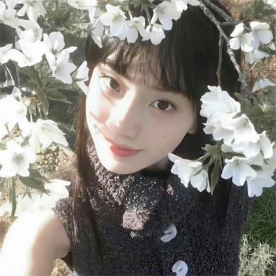 夏虫可语冰